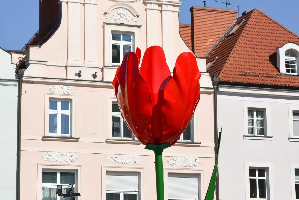 Świąteczne ozdoby na rynku w Bolesławcu