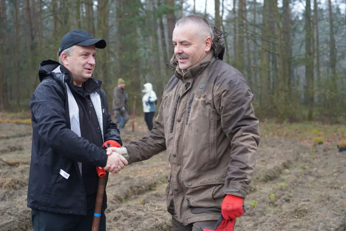 Wyjątkowy projekt sadzenia lasu