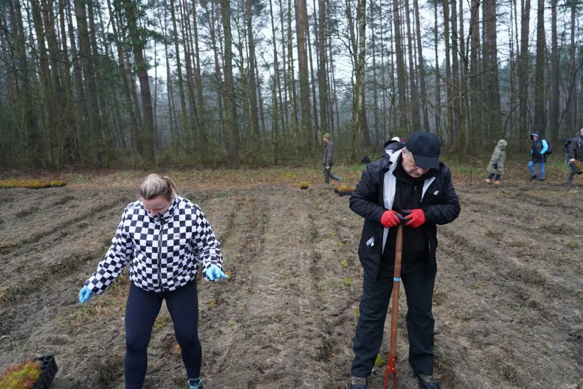 Wyjątkowy projekt sadzenia lasu