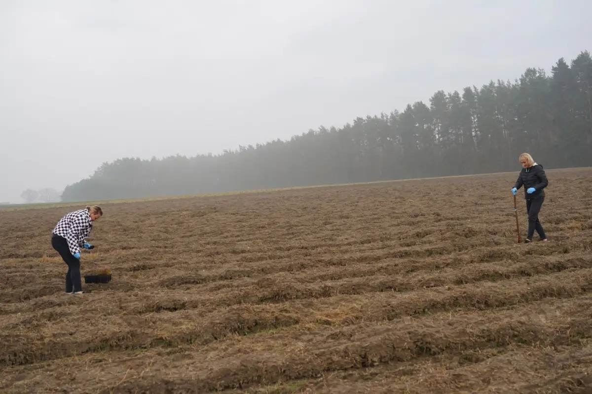 Wyjątkowy projekt sadzenia lasu