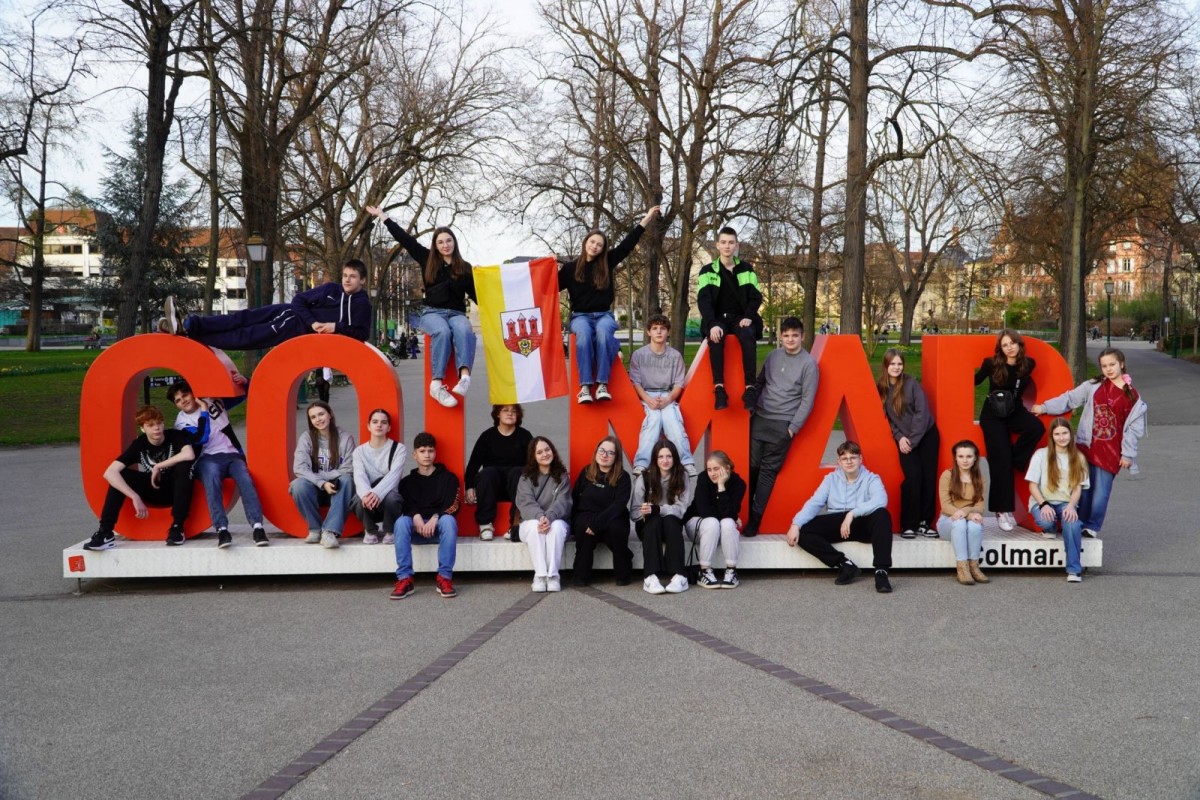 Bolesławiecka Czwórka w Europarlamencie