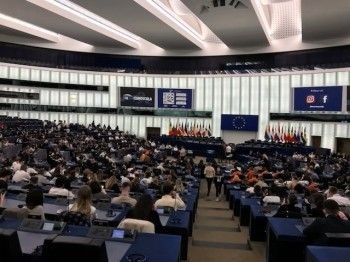 Bolesławiecka Czwórka w Europarlamencie