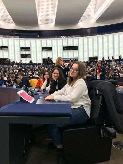 Bolesławiecka Czwórka w Europarlamencie