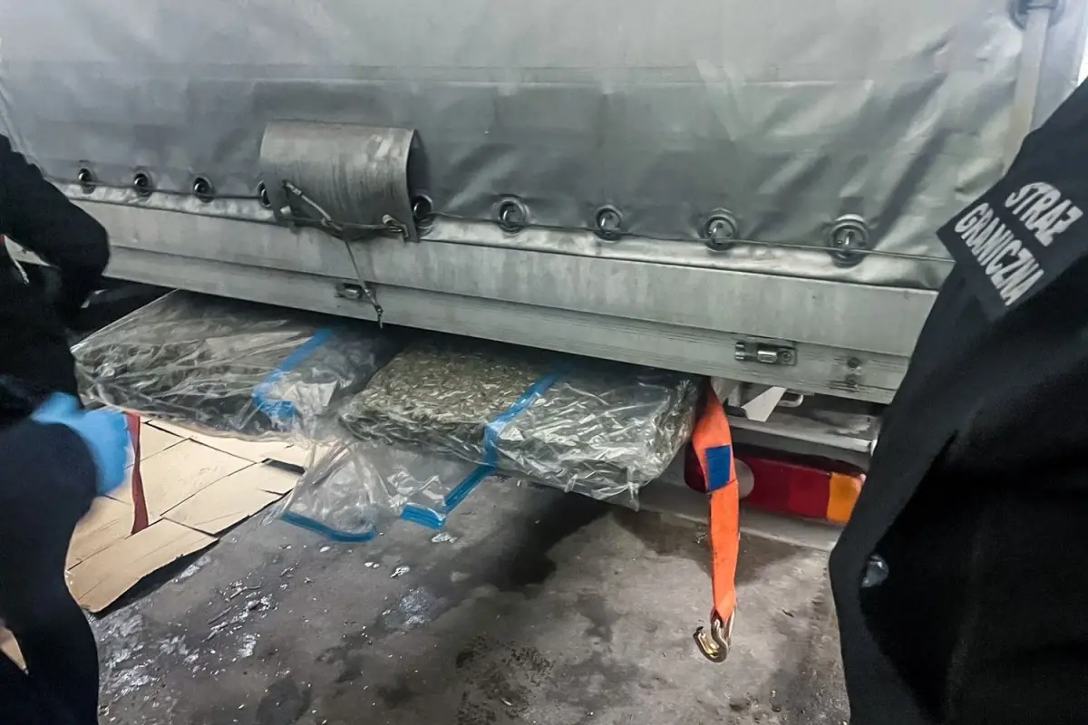 Przechwycono 100 kg marihuany z Hiszpanii