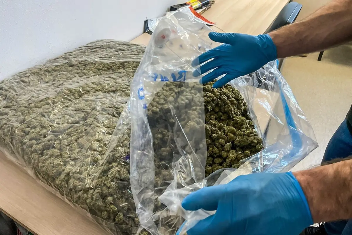 100 kg of marijuana from Spain intercepted