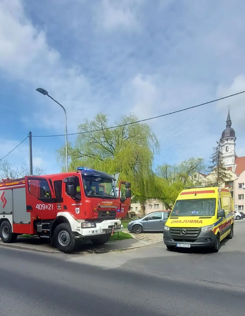 Akcja służb w Nowogrodźcu