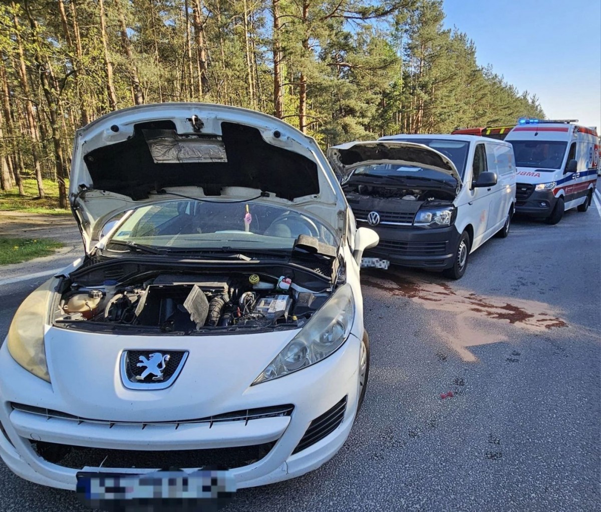 Zdarzenie w Golnicach