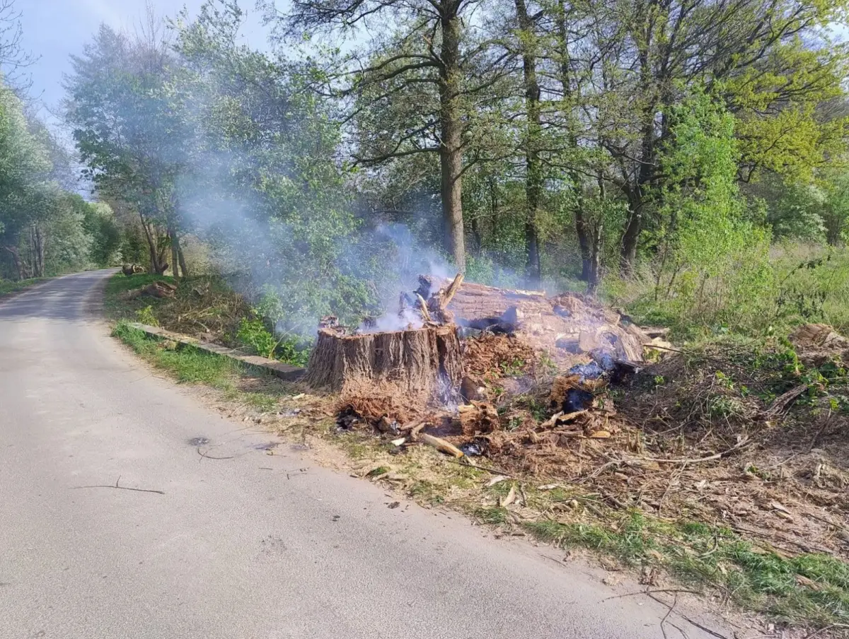 Akcja strażaków w Kruszynie