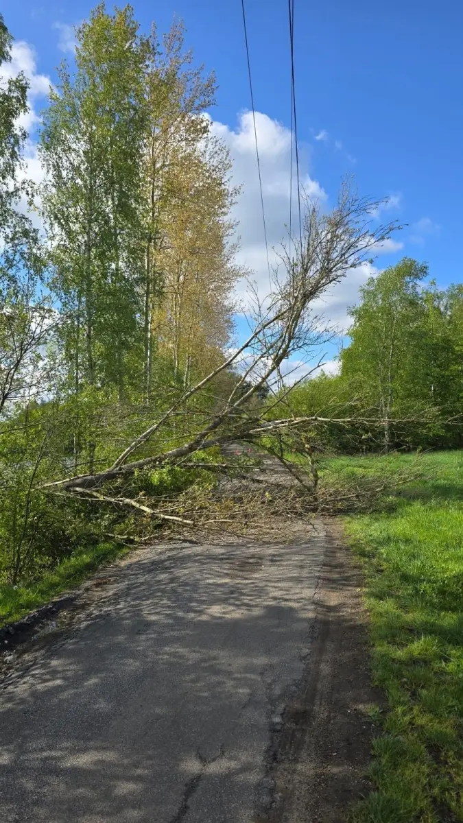 Akcja w Parkoszowie