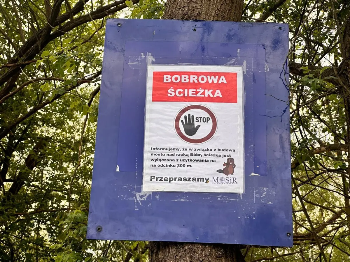 Ruszyły prace przy budowie mostu nad rzeką Bóbr. Wycięto drzewa