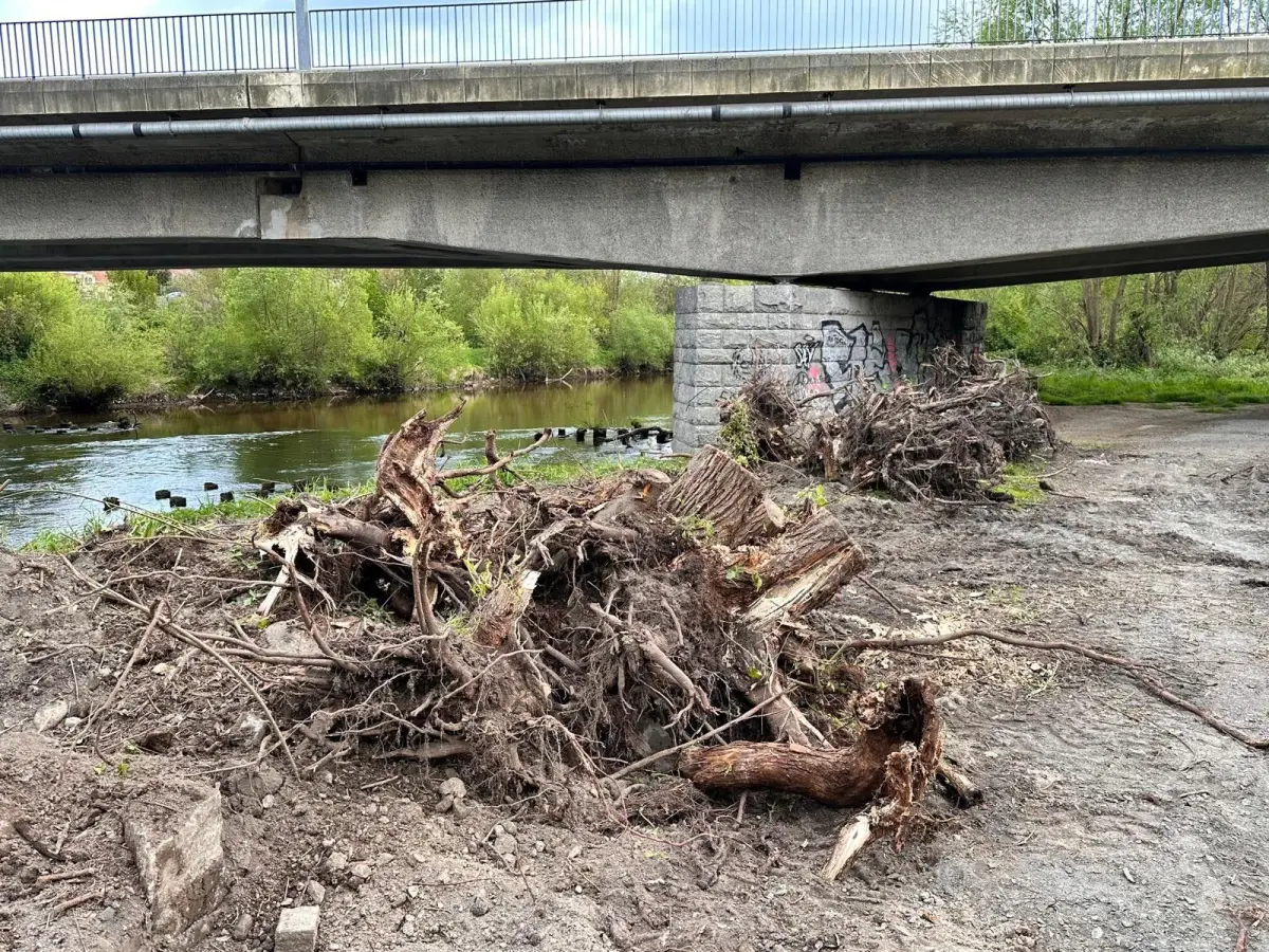 Ruszyły prace przy budowie mostu nad rzeką Bóbr. Wycięto drzewa