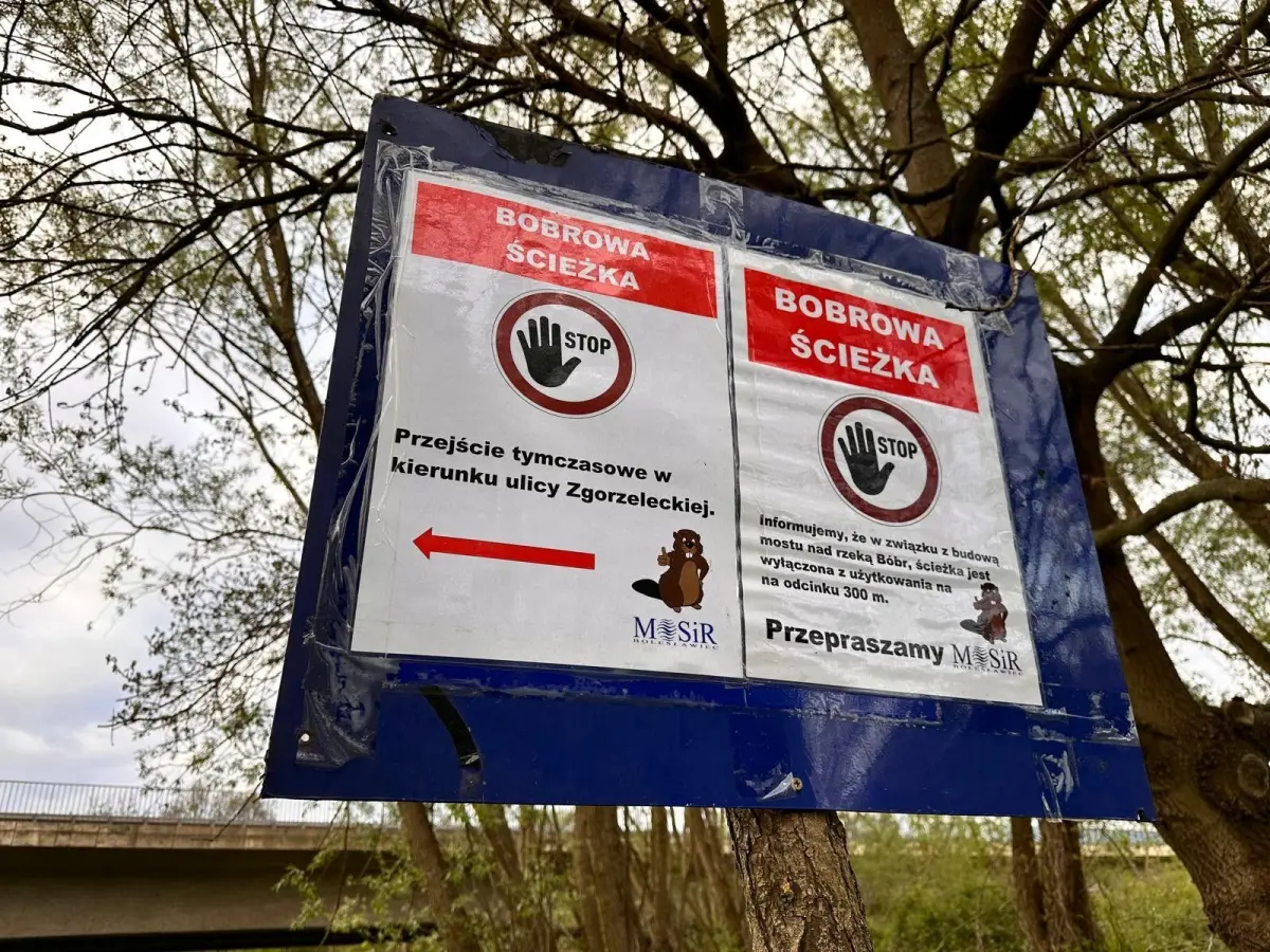 Ruszyły prace przy budowie mostu nad rzeką Bóbr. Wycięto drzewa