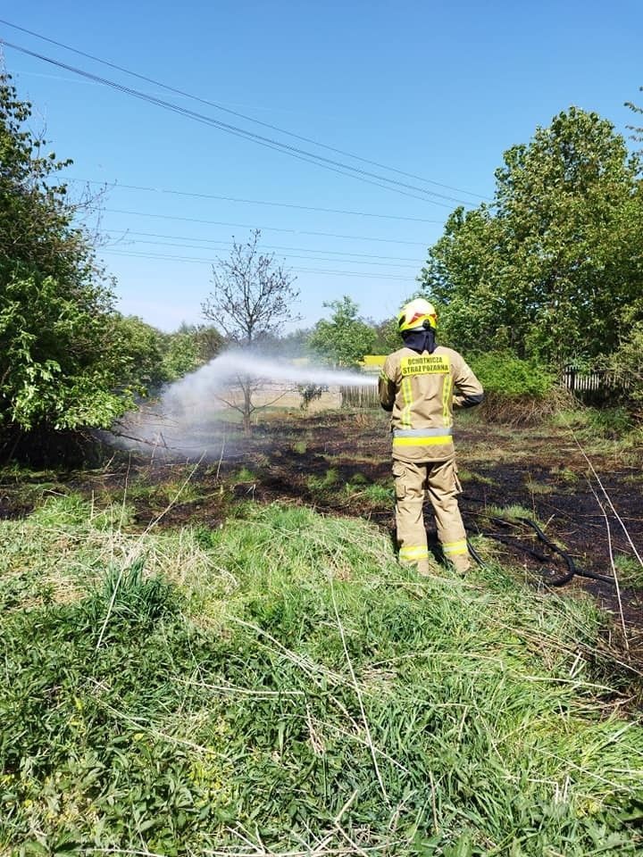 Pożar w Warcie Bolesławieckiej