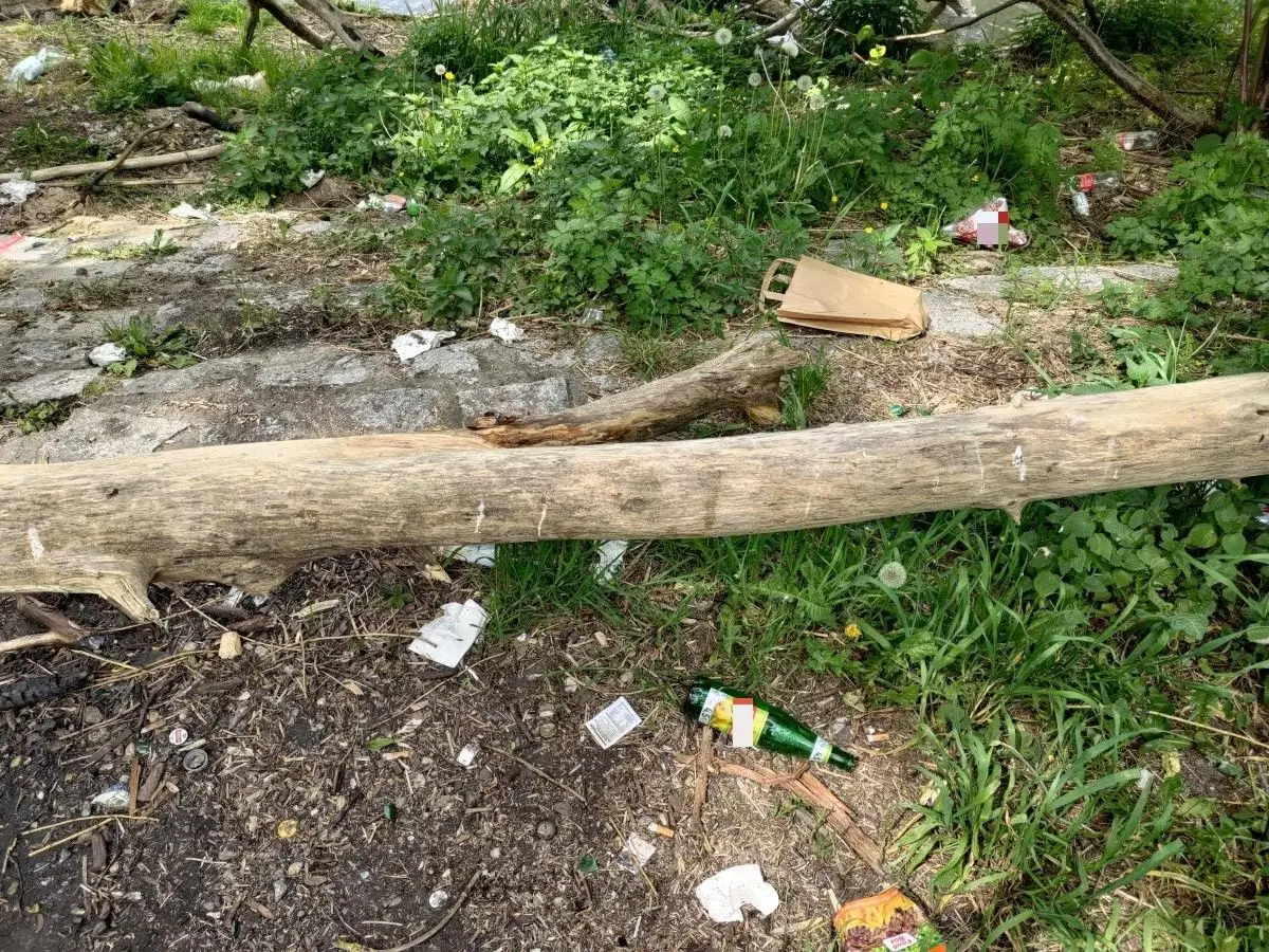 Śmieci nad Bobrem, niedaleko wiaduktu