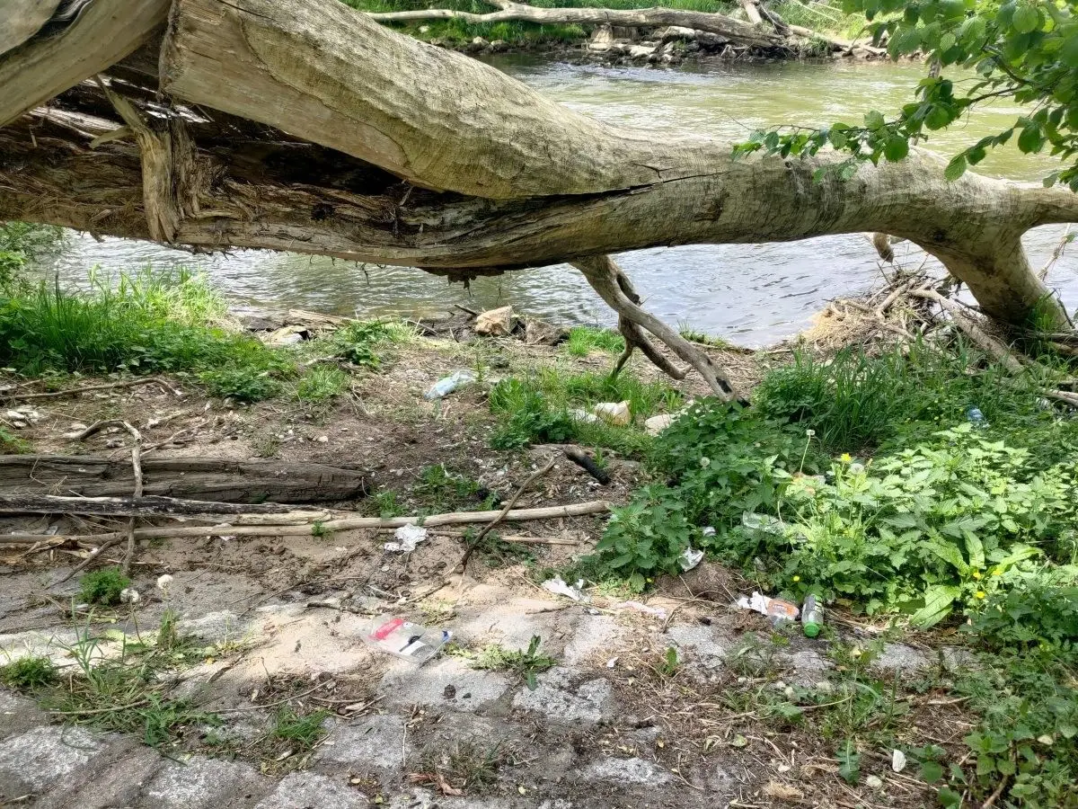 Śmieci nad Bobrem, niedaleko wiaduktu