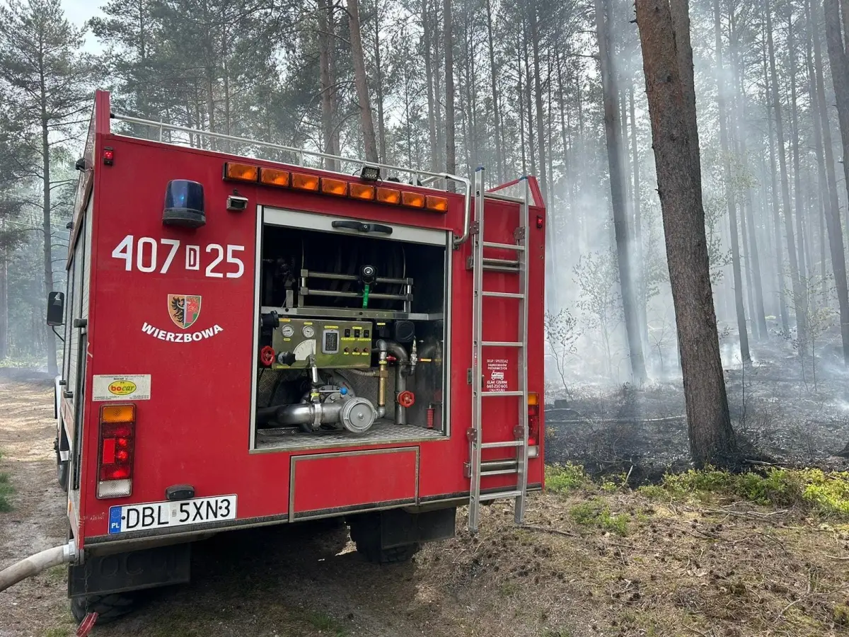 Pożar lasu koło Gromadki