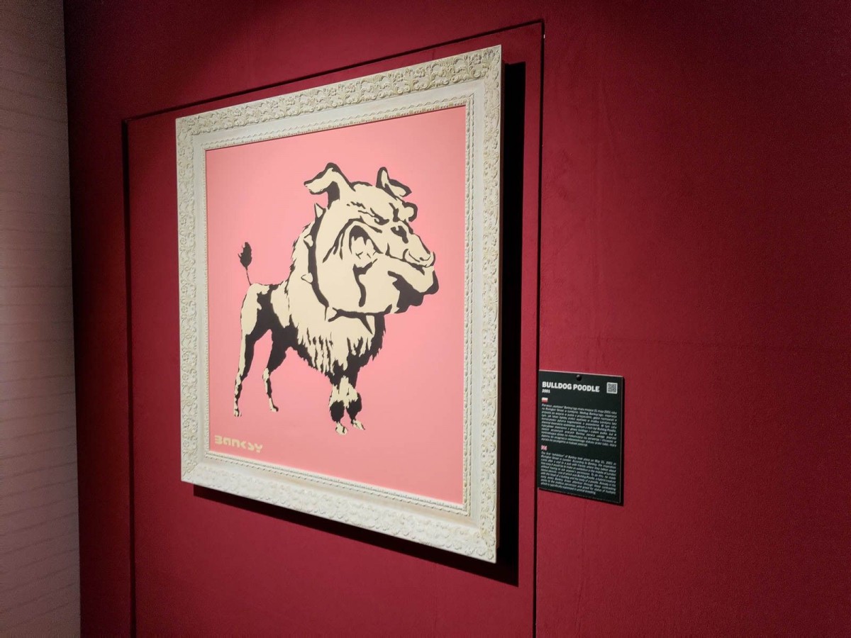 Prace Banksy'ego na wystawie we Wrocławiu