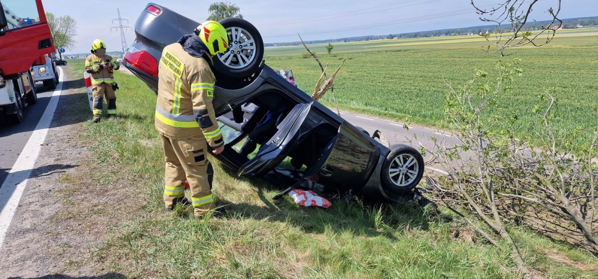 Dachowanie auta w Wilczym Lesie