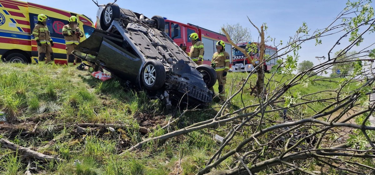 Dachowanie auta w Wilczym Lesie