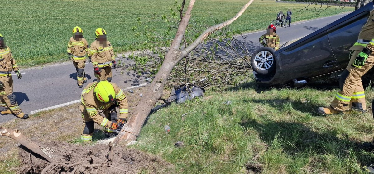 Dachowanie auta w Wilczym Lesie