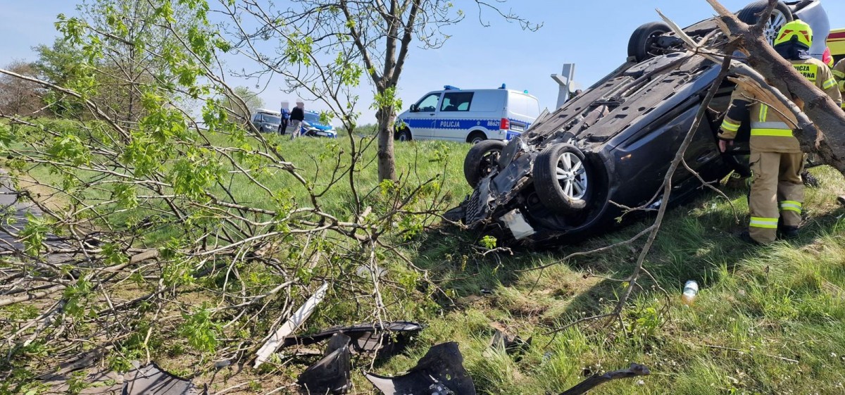 Dachowanie auta w Wilczym Lesie