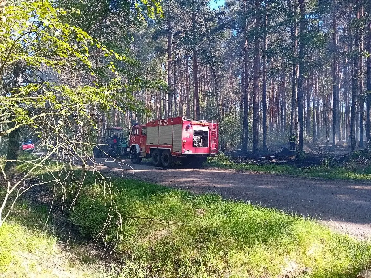 Pożar lasu