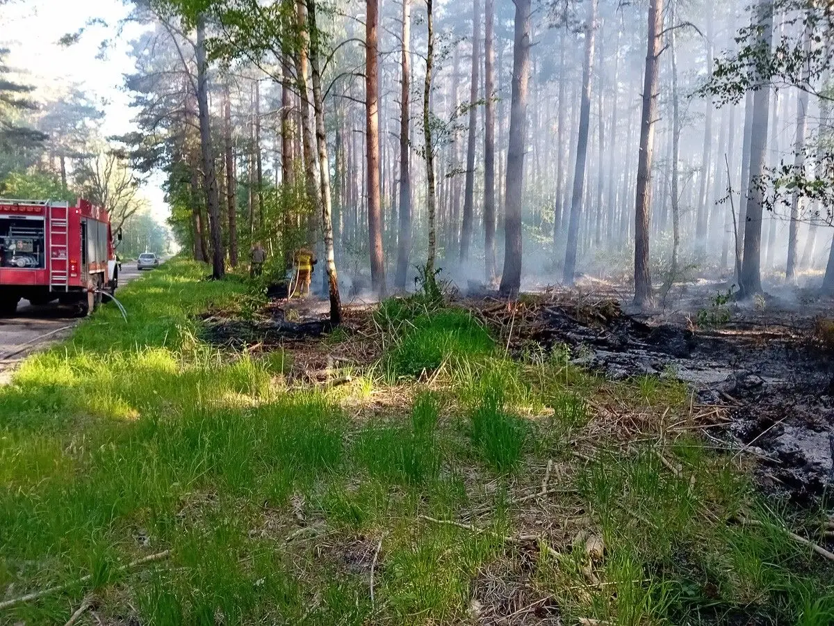 Pożar lasu