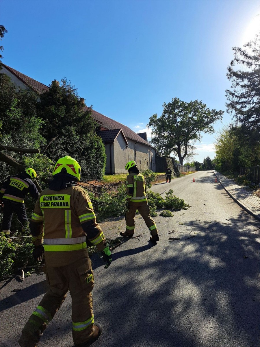 Akcja służb w Krzyżowej