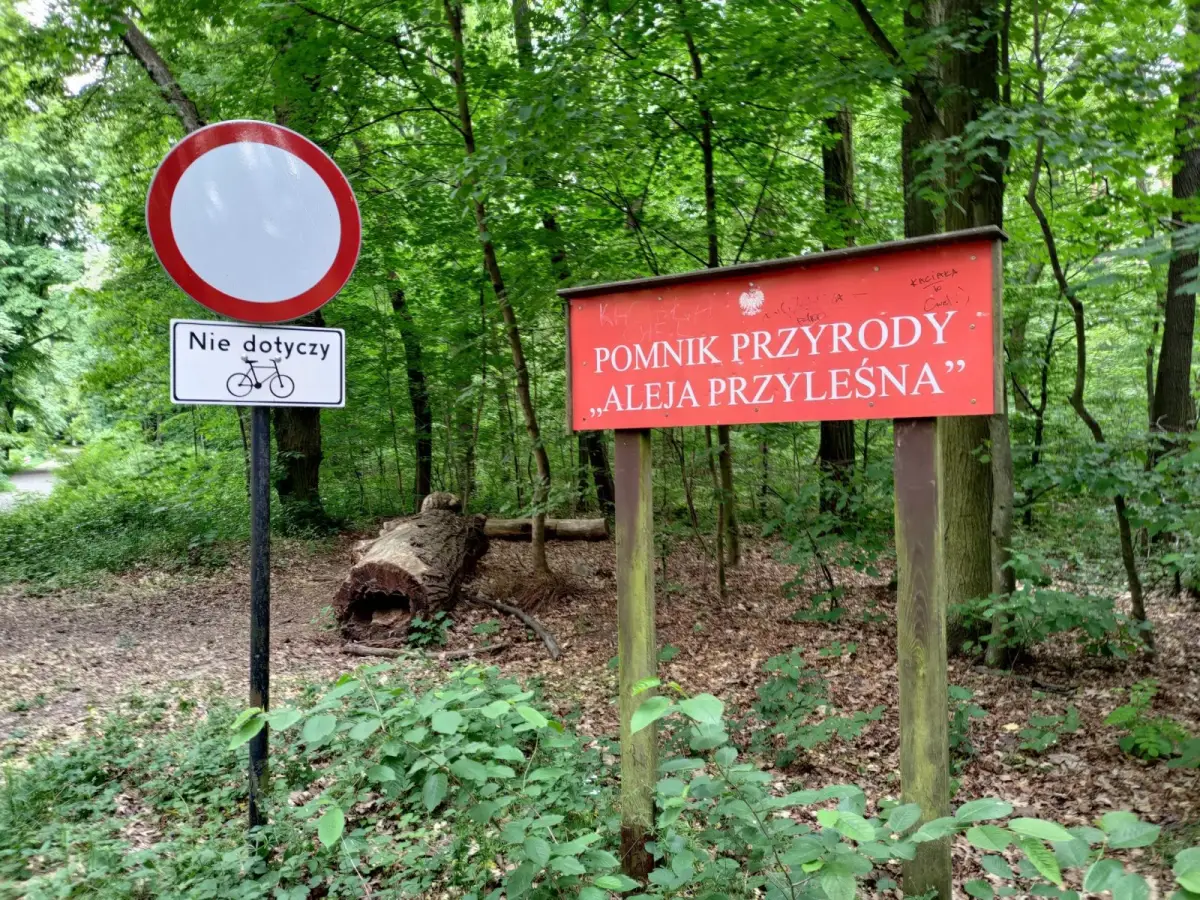 Aleja Przyleśna zabezpieczona przed samochodami i quadami