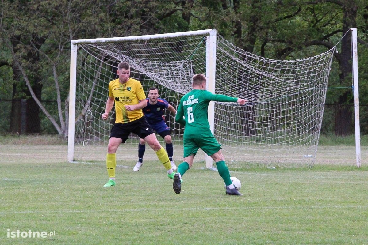 Galeria z meczu BKS Bolesławiec - Górnik Złotoryja