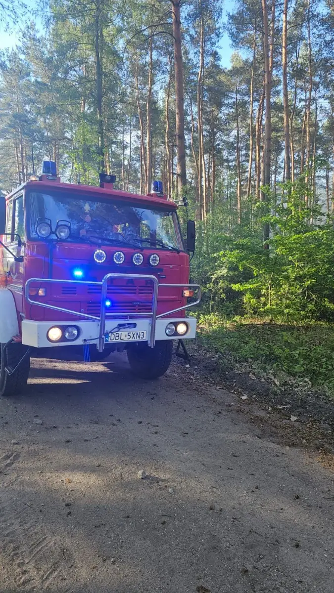 Pożar w Nadleśnictwie Chocianów