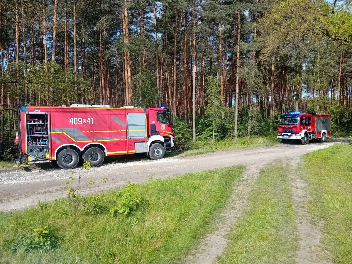 Pożar w Nadleśnictwie Chocianów
