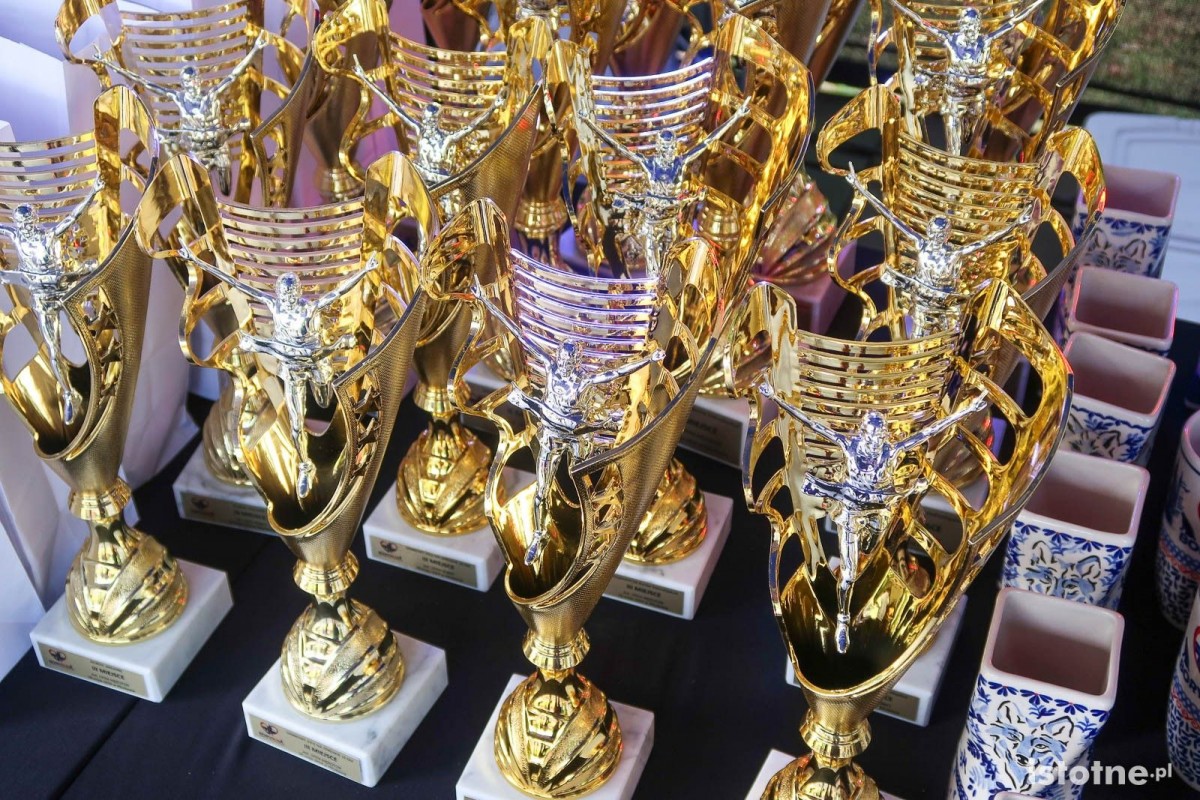 Zawody w bieganiu Bory Run