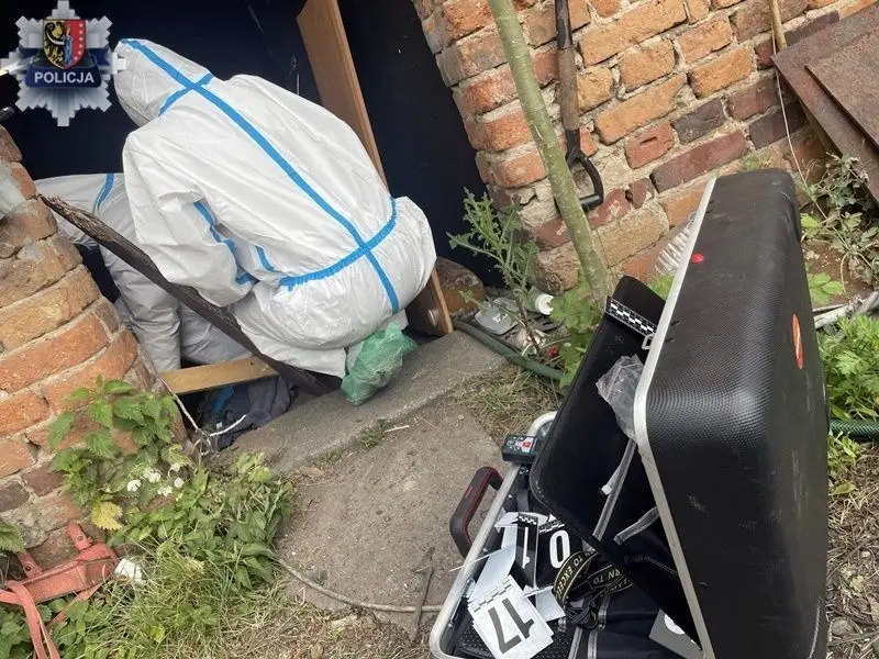 Śledczy i podejrzany