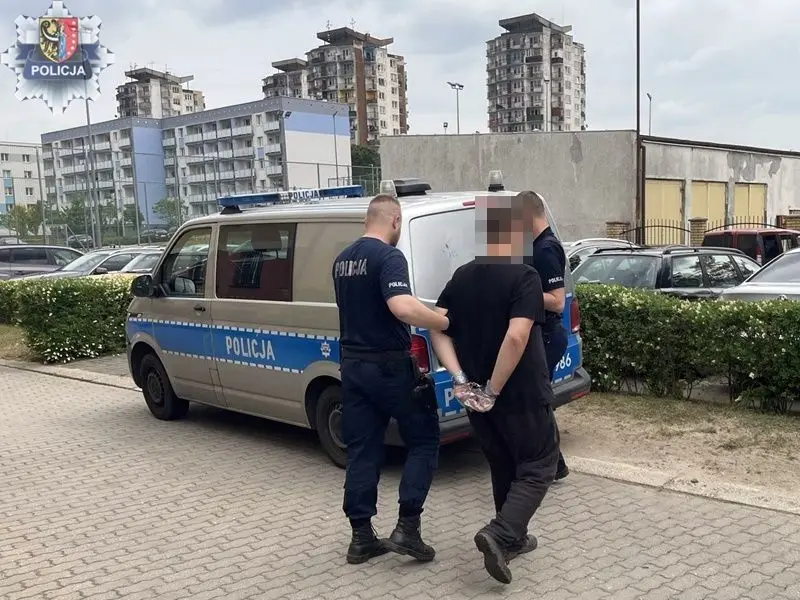 Śledczy i podejrzany