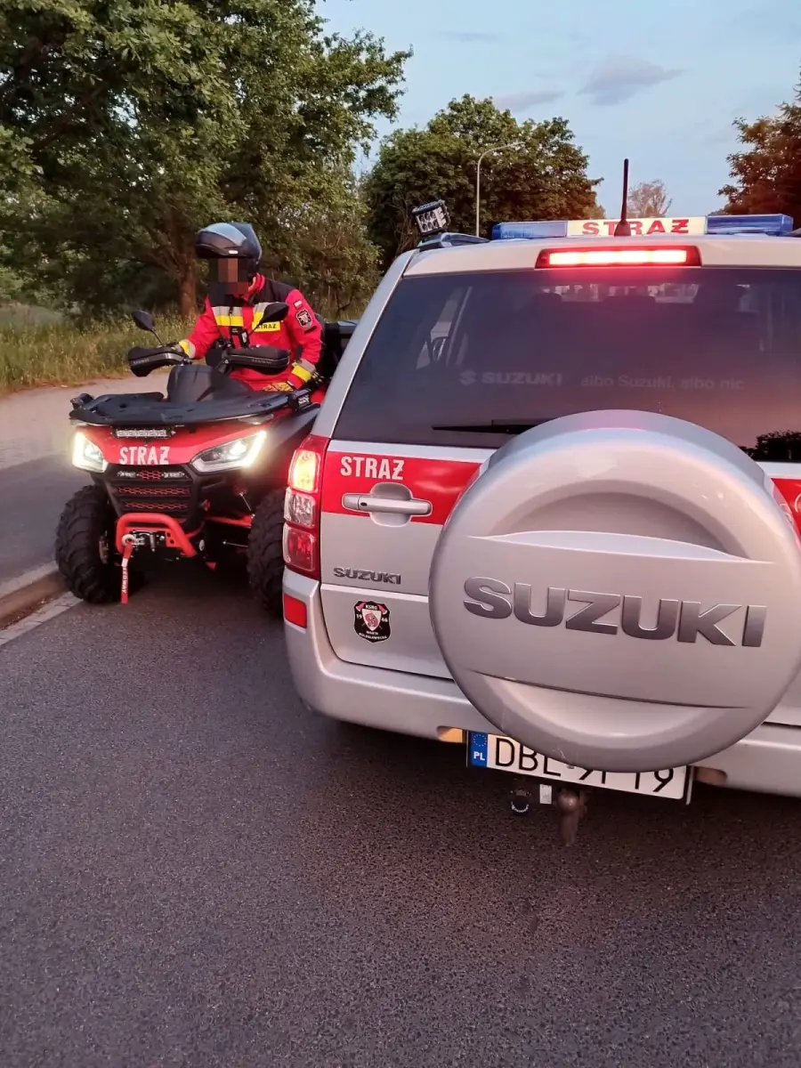 Akcja służb