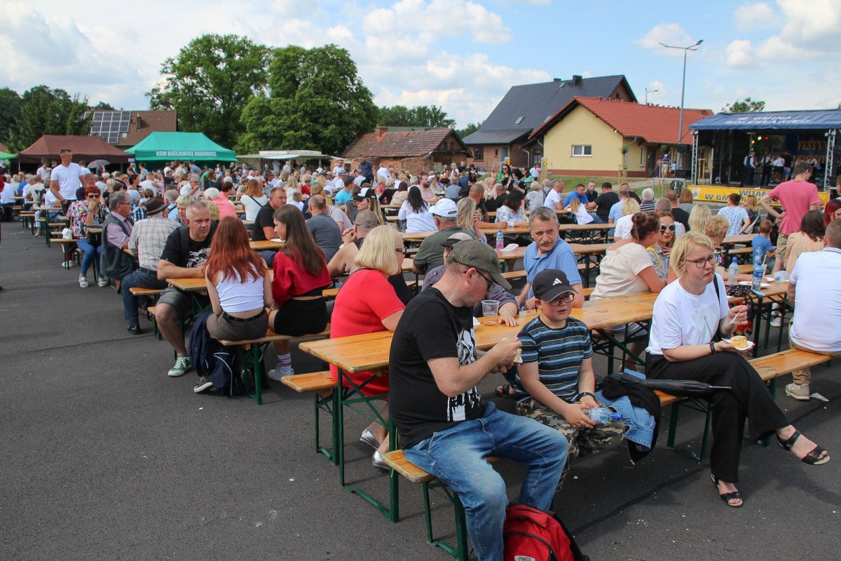 Festyn Pierogowy - Dąbrowa Bolesławiecka 2024