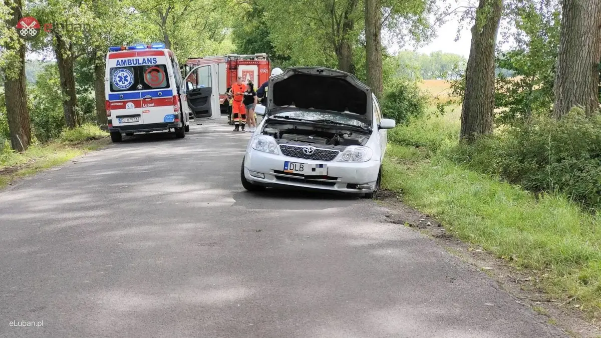Zdarzenie między Platerówką a Radzimowem
