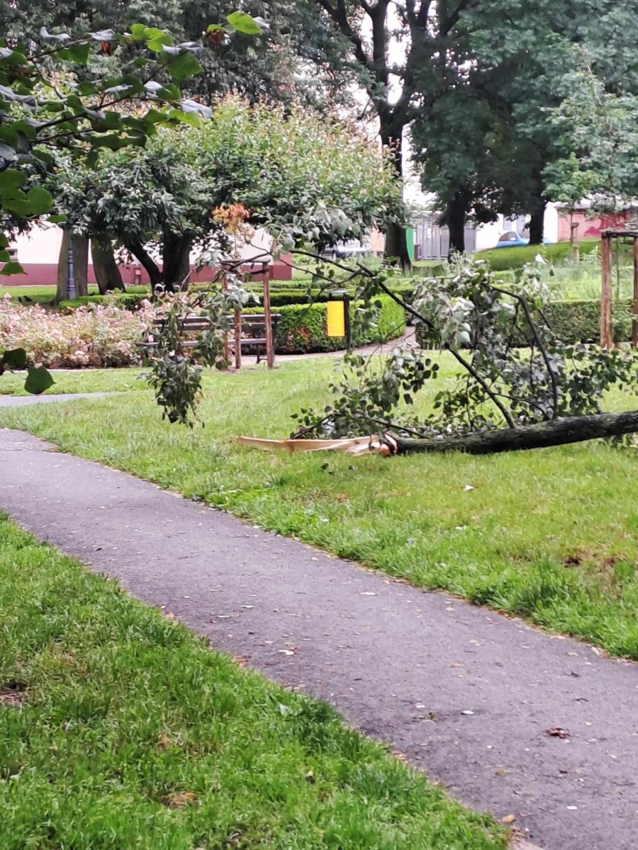 Połamane konary drzew w Bolesławcu