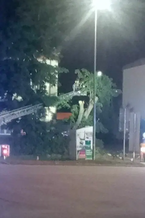 Akcja straży pożarnej na Podgórnej w Bolesławcu