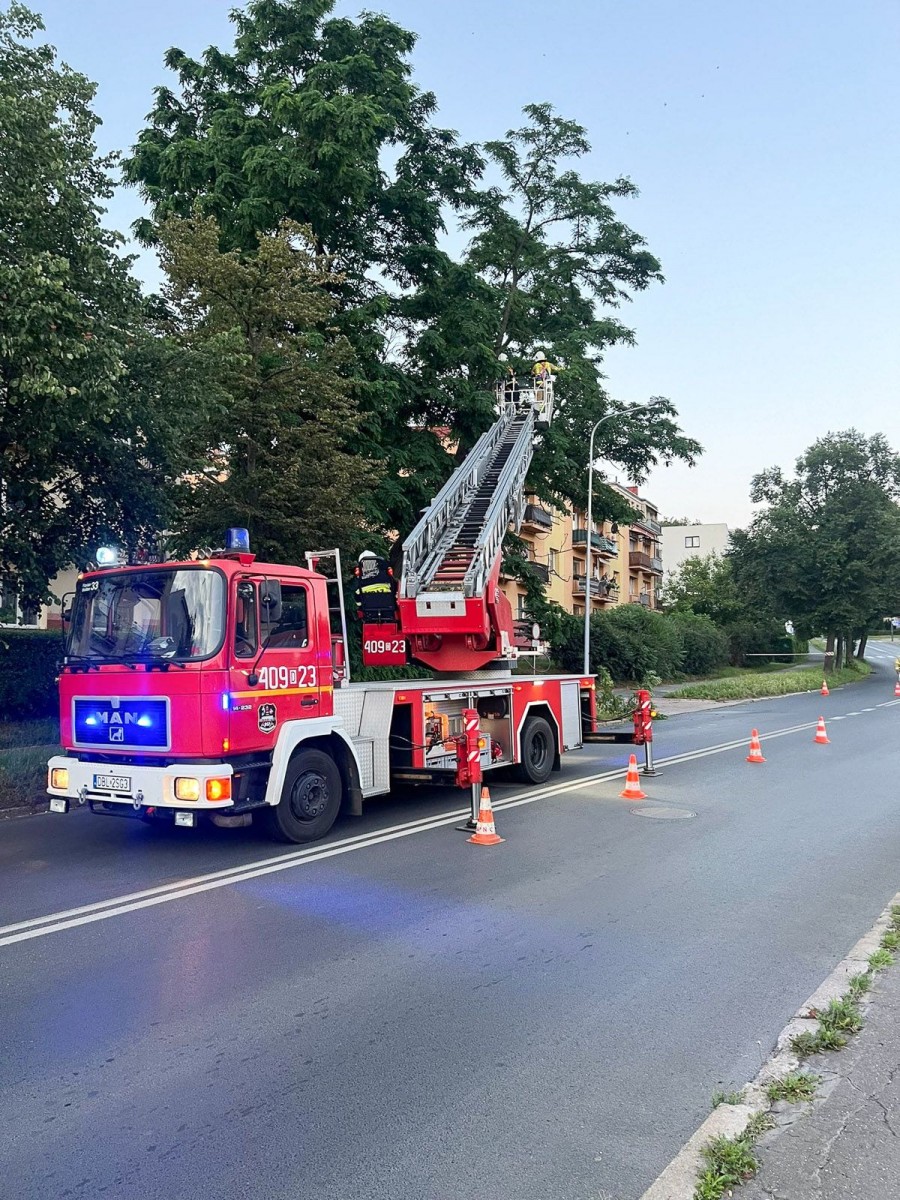 Akcja przy ulicy Podgórnej w Bolesławcu