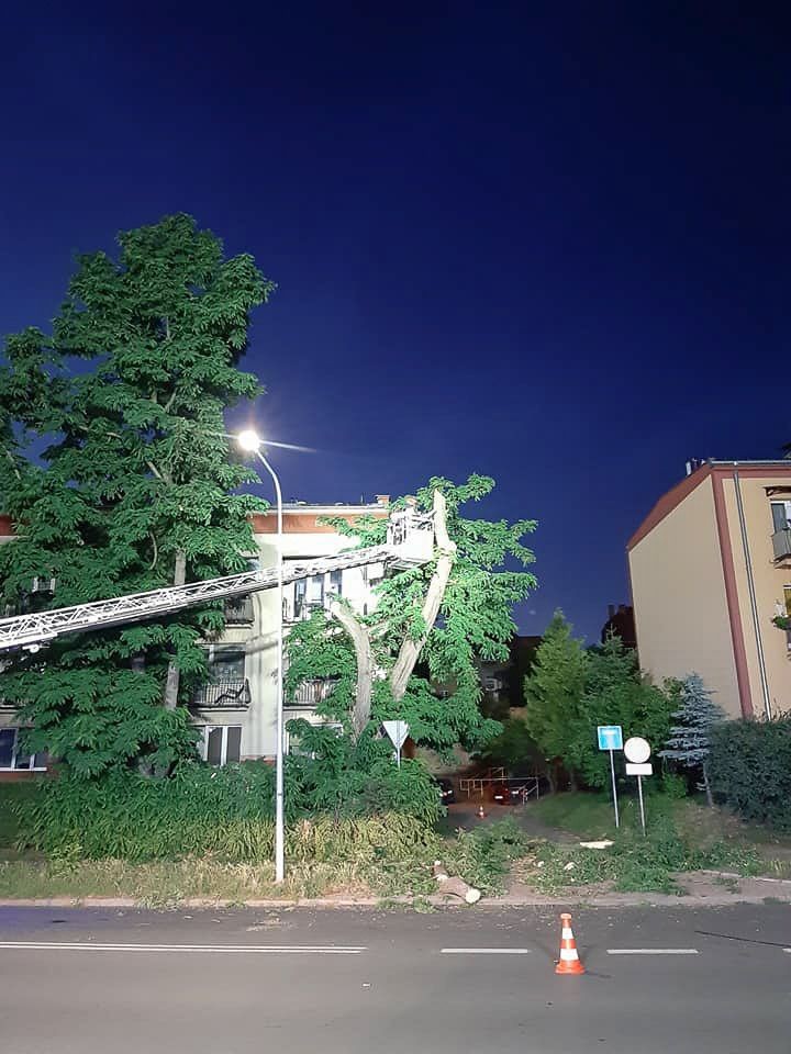 Akcja przy ulicy Podgórnej w Bolesławcu