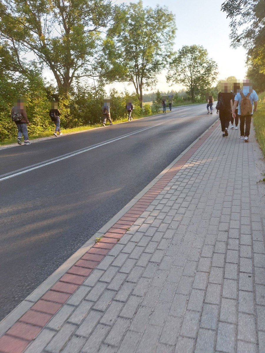 Dziki przystanek i pasy