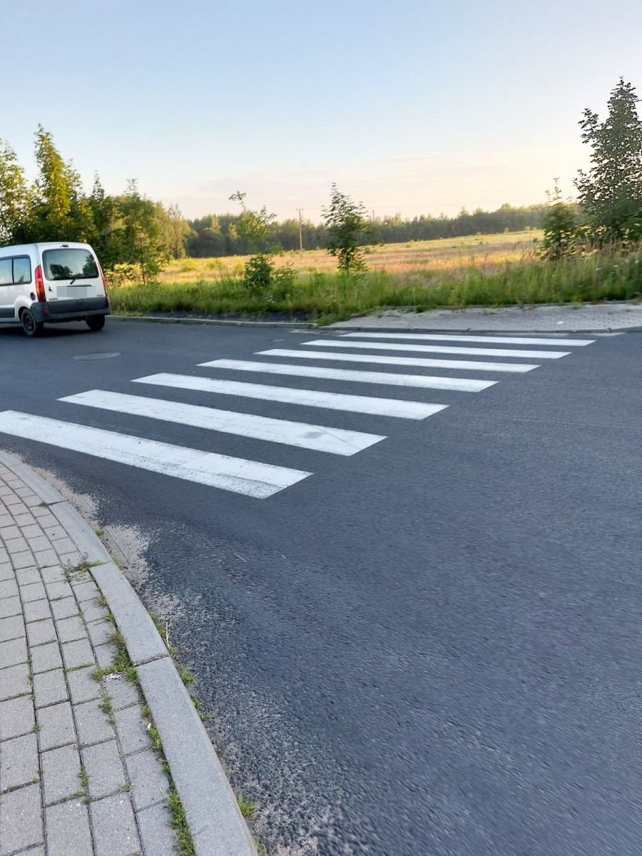 Dziki przystanek i pasy