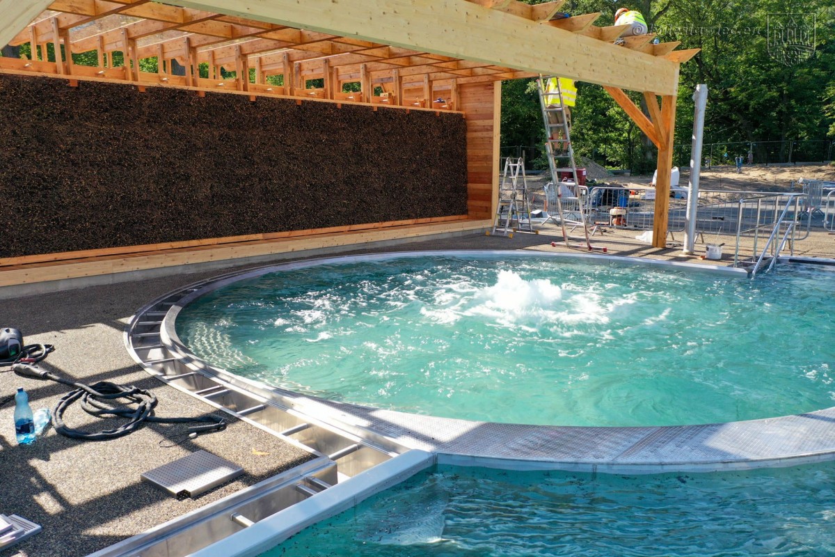 Baseny przy ul. Spacerowej