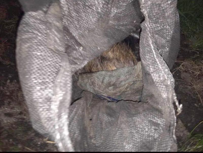 Podejrzani i zrzut ekranu