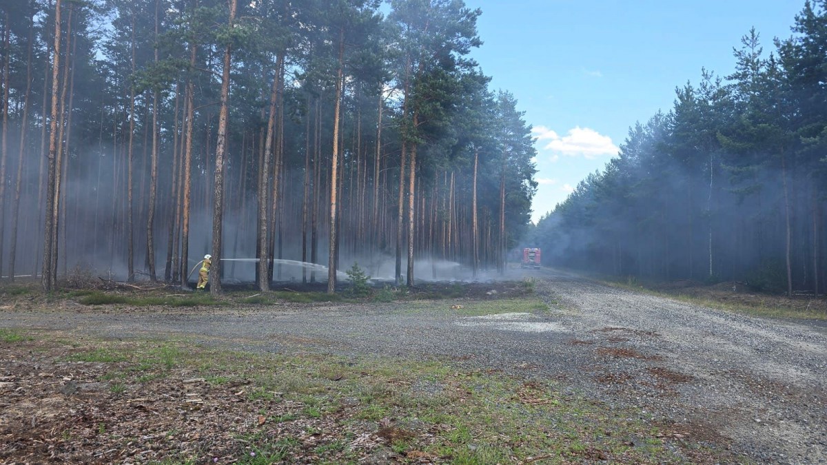 Pożar w lesie