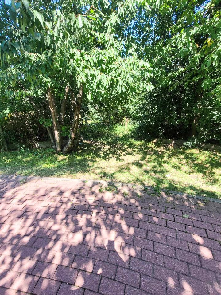 Miejsce, gdzie przebywają bezdomni