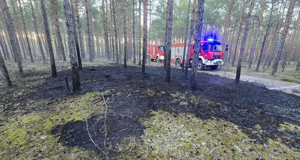 Interwencje strażaków z Trzebienia
