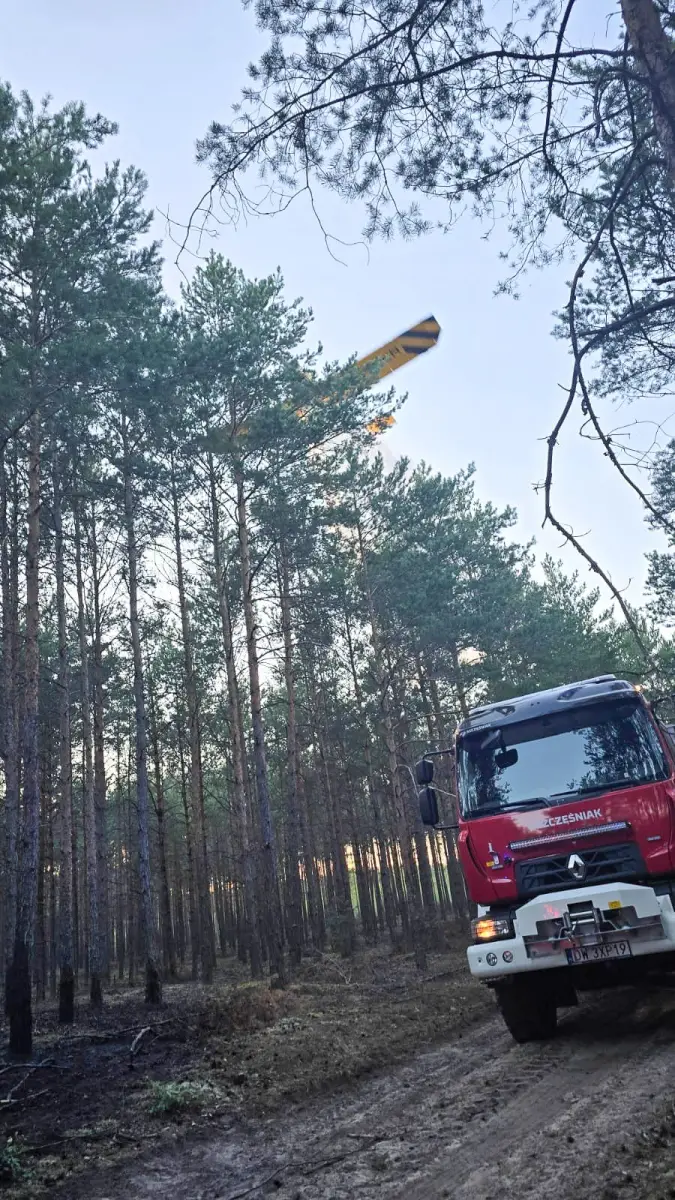 Interwencje strażaków z Trzebienia